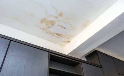 seguro de cobertura de daños cosméticos