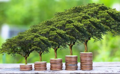 Qué garantías de rentabilidad ofrecen los planes de pensiones garantizados