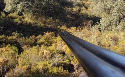 seguro de caza obligatorio