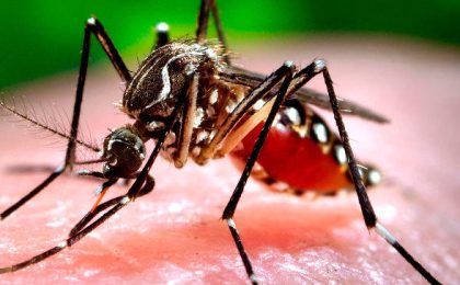 El virus Zika y la atención médica