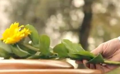 Coberturas de seguro de decesos