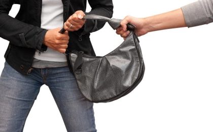 seguro de hogar robos portal