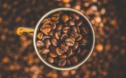 cafeína