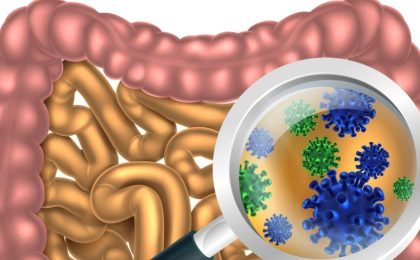 las bacterias producen cancer de mama