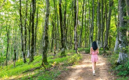 Pasar dos horas a la semana en la naturaleza es bueno para la salud