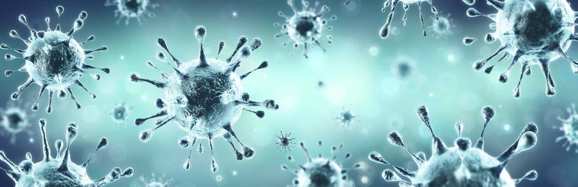 seguro de salud coronavirus