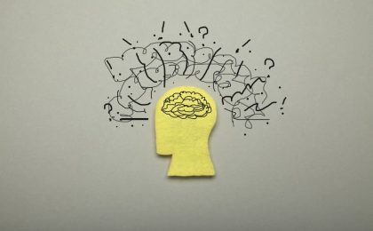 estructura del cerebro