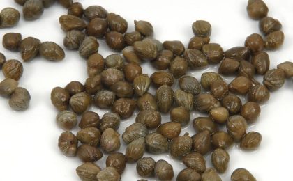 Las alcaparras encurtidas activan proteínas importantes para la salud del cerebro y el corazón