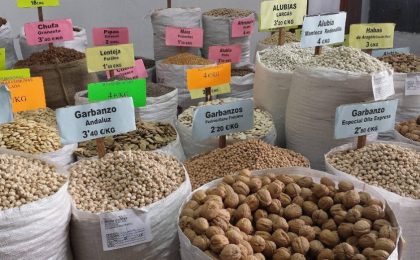 dieta de proteinas vegetales