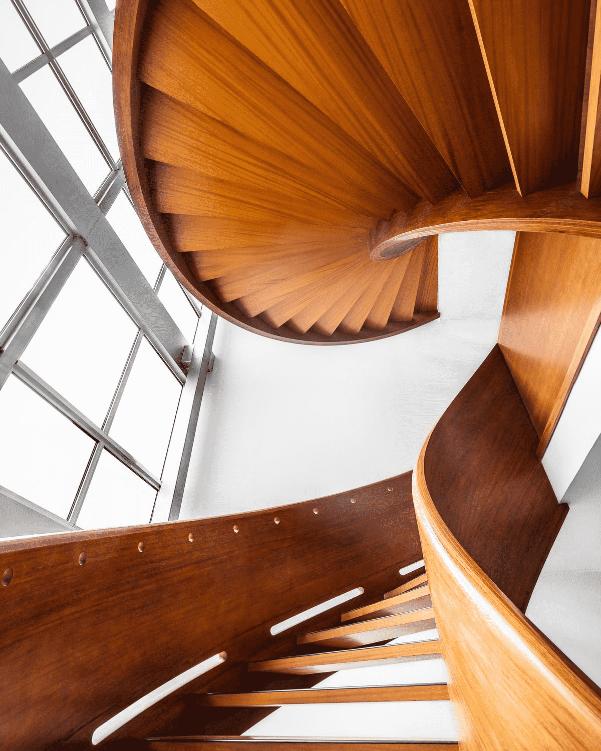 salvaescaleras