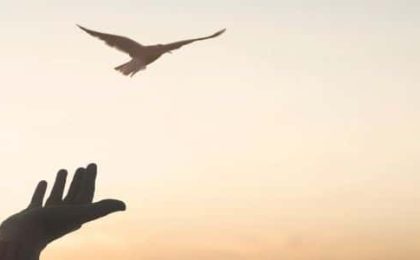 que es el certificado de ultimas voluntades