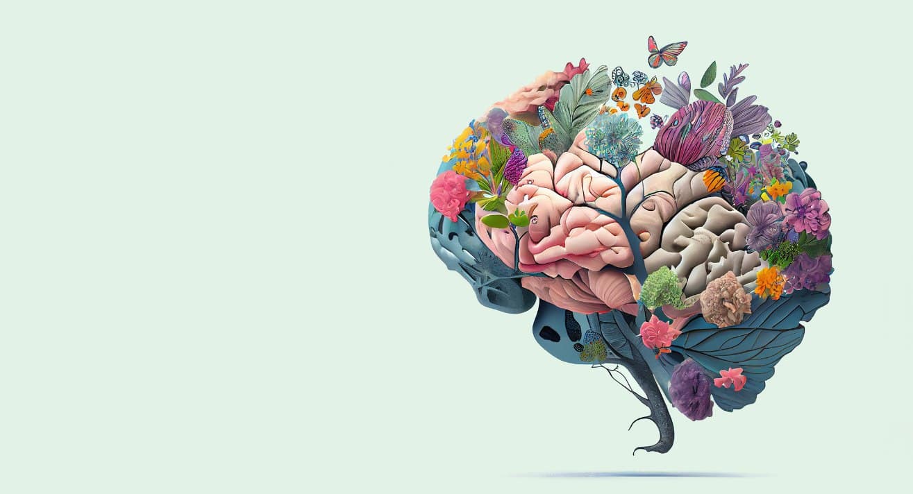 Salud ósea y salud del cerebro