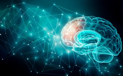 Cómo compensa el cerebro el deterioro cognitivo relacionado con la edad