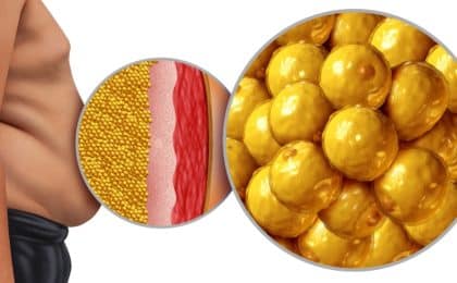 grasa visceral envejecimiento corazón