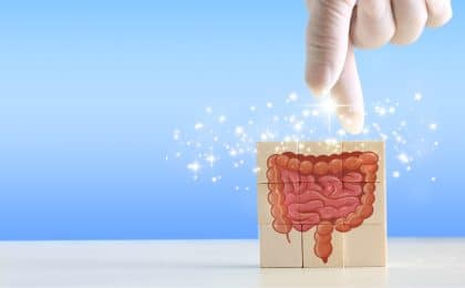 microbiota intestinal metabolismo energético